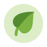organic-food